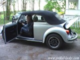 Sweet beetle Sweet beetle